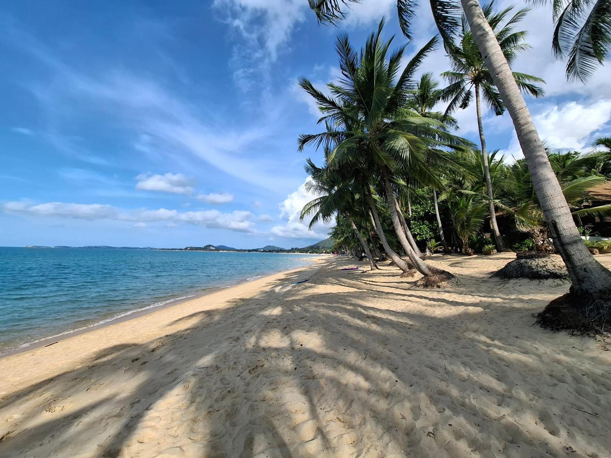 Thiptara Resort - Adults Only Mae Nam Beach Eksteriør bilde